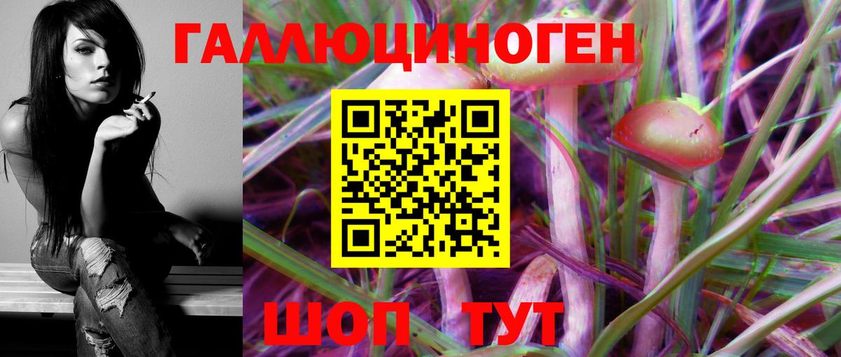 Псилоцибиновые грибы GOLDEN TEACHER  Псилоцибиновые грибы мицелий  Вход с VPN  Будённовск 